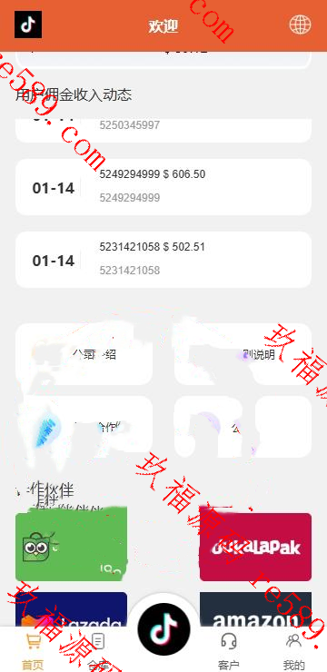 (推荐）海外tiktok多语言抢单刷单系统/前端uniapp/刷单打针