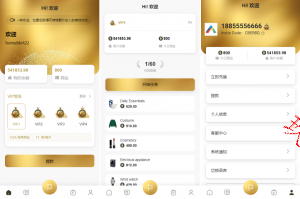 25年爆款海外多语言 抢单刷单系统 连单卡单 刷单抢单源码 UI PHP